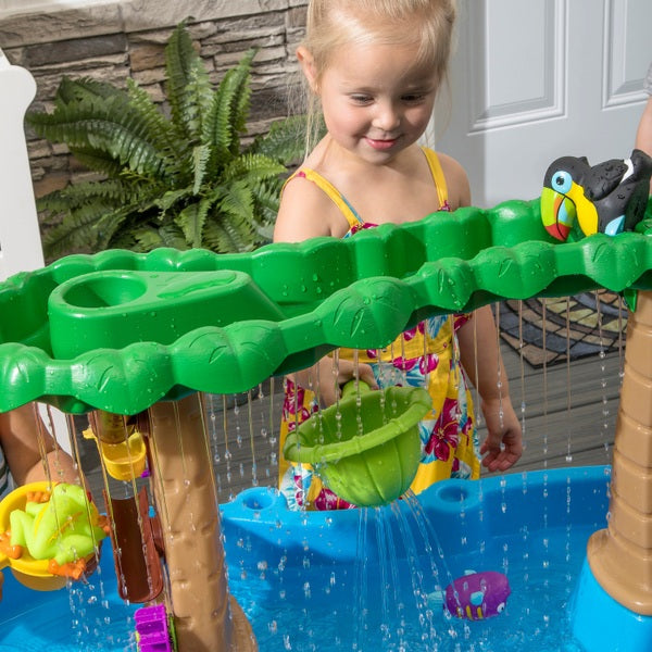 Step2 Tropical Rain Forest Water Table