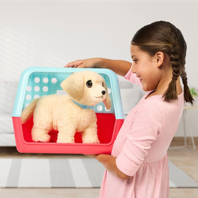 Little Live Pets Ouchies – Cooper the Retriever Plush Toy + Free Activity Book