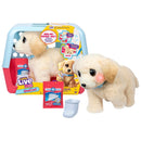 Little Live Pets Ouchies – Cooper the Retriever Plush Toy + Free Activity Book