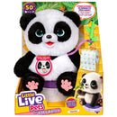 Little Live Pets My Baby Panda ChuChu Interactive Plush Toy + Free Activity Book