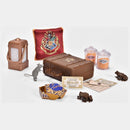 Harry Potter Hogwarts Express Playset + Free Activity Book Included