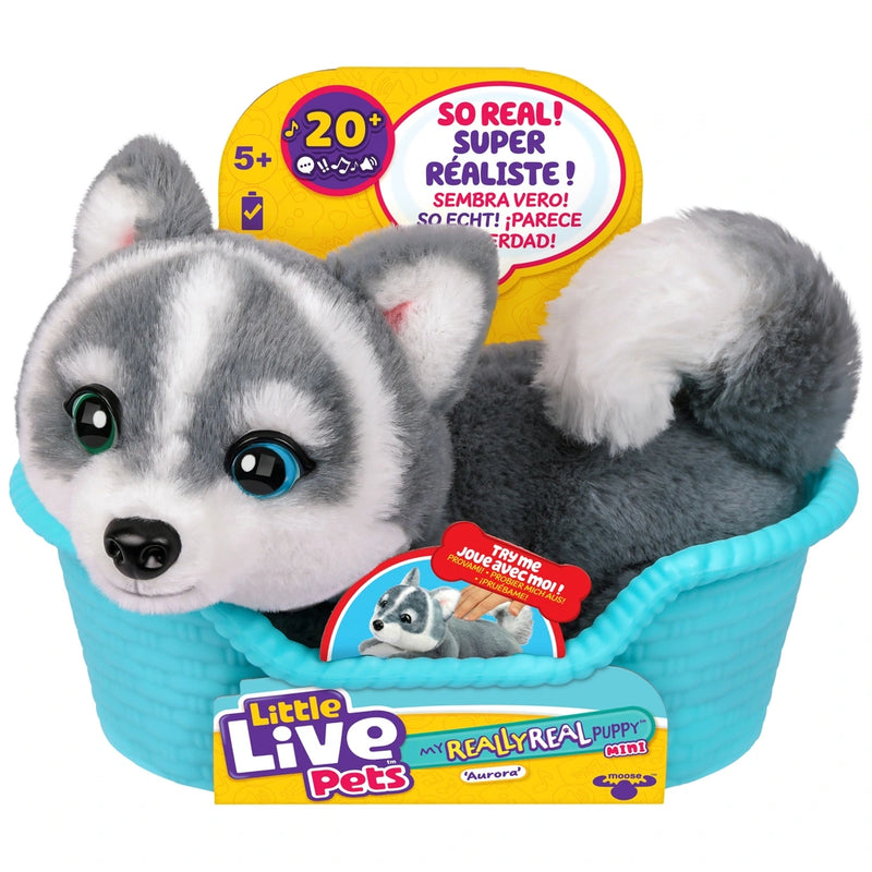 Little Live Pets My Really Real Puppy Mini Aurora the Husky + Free Activity Book