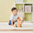 VTech Baby Walk & Wag Puppy + Free Activity Book Included