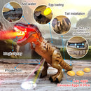 Electric Walking Dinosaur Toy with Spray, Lights & Sound