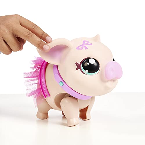 Little Live Pets My Pet Pig Piggi Bella