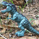 Electric Walking Dinosaur Toy with Spray, Lights & Sound
