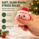 24-Day Christmas Dumpling Squishy Advent Calendar – Festive Countdown Gift