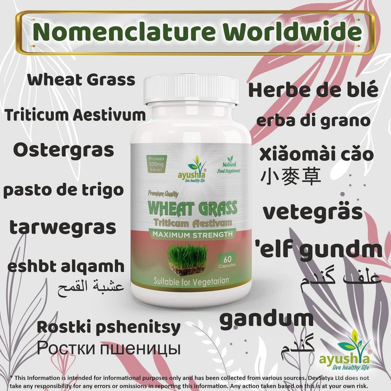 Wheat Grass Capsule